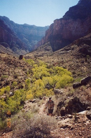 green part of trail.jpg